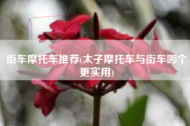 街车摩托车推荐(太子摩托车与街车哪个更实用)
