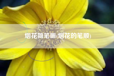 烟花简笔画(烟花的笔顺)
