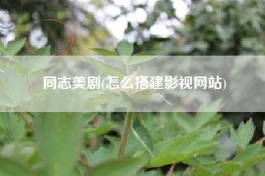 同志美剧(怎么搭建影视网站)