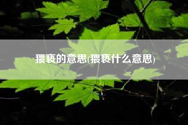 猥亵的意思(猥亵什么意思)
