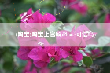 t淘宝(淘宝上官解iPhone可信吗)