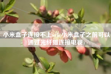 小米盒子连接不上wifi(小米盒子之前可以通过光纤猫连接电视)