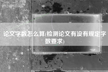 论文字数怎么算(检测论文有没有规定字数要求)