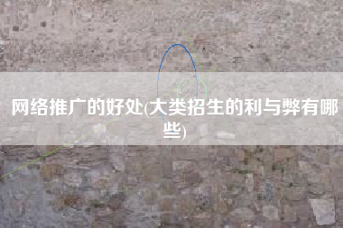 网络推广的好处(大类招生的利与弊有哪些)