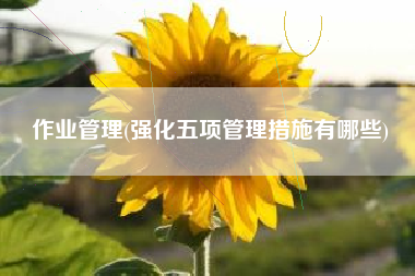 作业管理(强化五项管理措施有哪些)