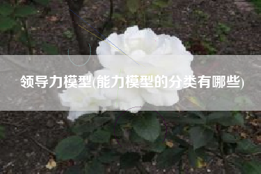 领导力模型(能力模型的分类有哪些)