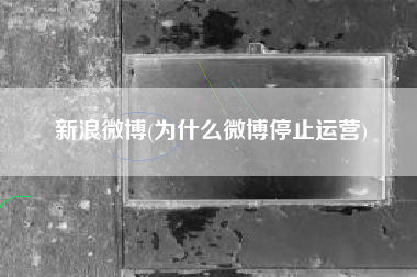 新浪微博(为什么微博停止运营)