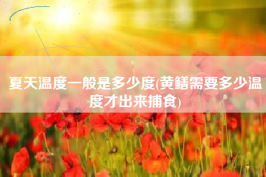 夏天温度一般是多少度(黄鳝需要多少温度才出来捕食)