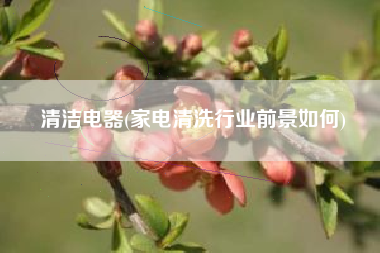 清洁电器(家电清洗行业前景如何)