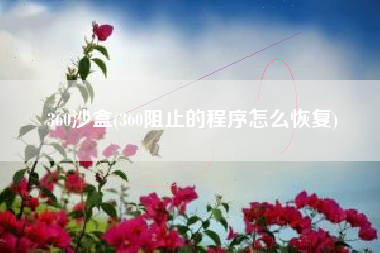 360沙盒(360阻止的程序怎么恢复)