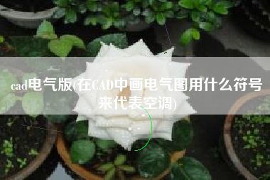 cad电气版(在CAD中画电气图用什么符号来代表空调)