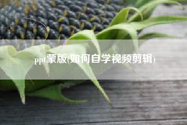 ppt蒙版(如何自学视频剪辑)