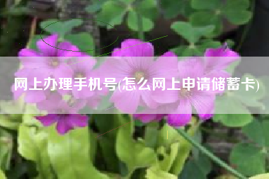 网上办理手机号(怎么网上申请储蓄卡)
