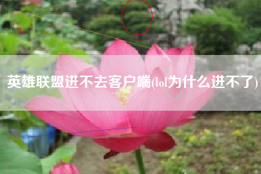 英雄联盟进不去客户端(lol为什么进不了)