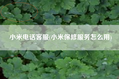 小米电话客服(小米保修服务怎么用)