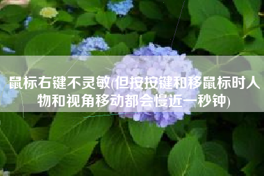 鼠标右键不灵敏(但按按键和移鼠标时人物和视角移动都会慢近一秒钟)