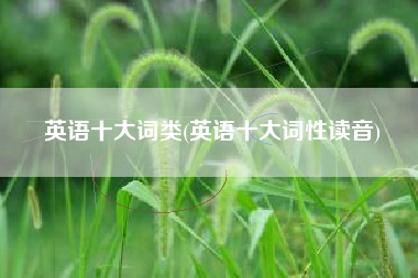 英语十大词类(英语十大词性读音)