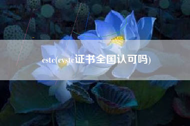 cstc(cvstc证书全国认可吗)