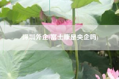 深圳外企(富士康是央企吗)
