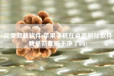 完美卸载软件(苹果手机在桌面删除软件就是彻底删干净了吗)