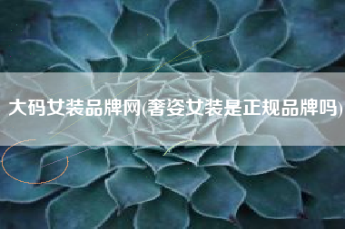 大码女装品牌网(奢姿女装是正规品牌吗)