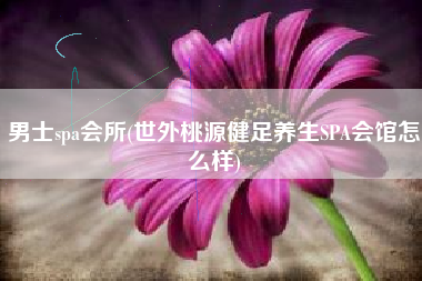 男士spa会所(世外桃源健足养生SPA会馆怎么样)