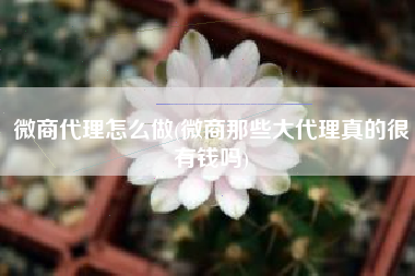 微商代理怎么做(微商那些大代理真的很有钱吗)