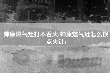 详细阅读:帅康燃气灶打不着火(帅康燃气灶怎么换点火针) 帅康燃气灶打不着火(帅康燃气灶怎么换点火针)