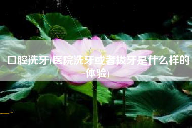 口腔洗牙(医院洗牙或者拔牙是什么样的体验)