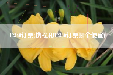 12360订票(携程和12360订票哪个便宜)