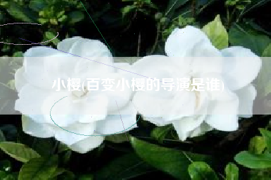 小樱(百变小樱的导演是谁)
