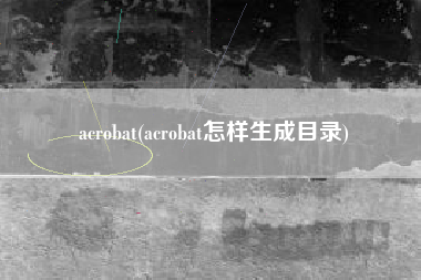acrobat(acrobat怎样生成目录)