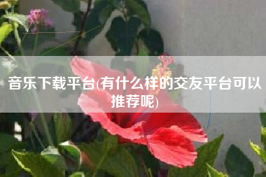 音乐下载平台(有什么样的交友平台可以推荐呢)