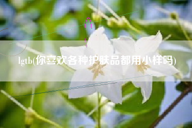 lgtb(你喜欢各种护肤品都用小样吗)