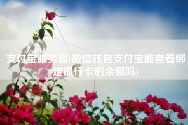 支付宝服务窗(微信钱包支付宝能查看绑定银行卡的余额吗)