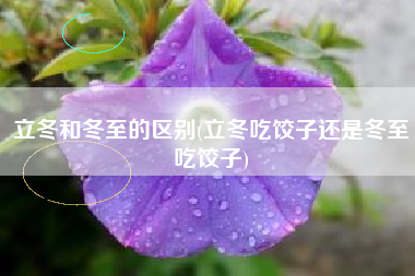 详细阅读:立冬和冬至的区别(立冬吃饺子还是冬至吃饺子) 立冬和冬至的区别(立冬吃饺子还是冬至吃饺子)