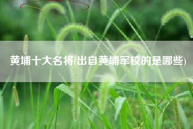 详细阅读:黄埔十大名将(出自黄埔军校的是哪些) 黄埔十大名将(出自黄埔军校的是哪些)