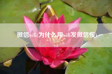 微信wifi(为什么用wifi发微信慢)