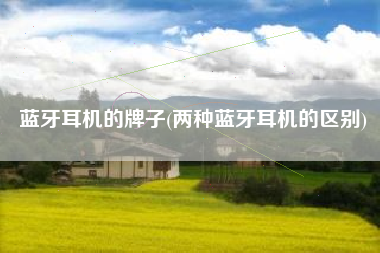 蓝牙耳机的牌子(两种蓝牙耳机的区别)