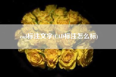 cad标注文字(CAD标注怎么标)
