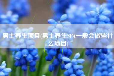 男士养生项目(男士养生SPA一般会做些什么项目)