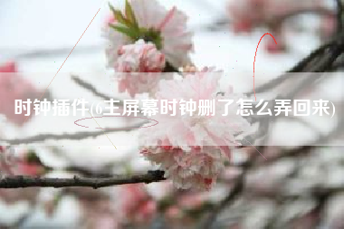 时钟插件(6主屏幕时钟删了怎么弄回来)
