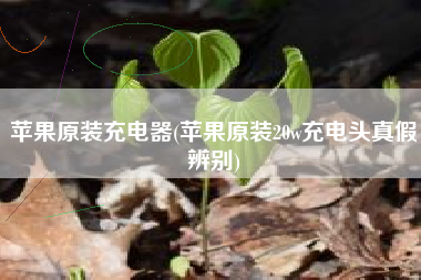苹果原装充电器(苹果原装20w充电头真假辨别)