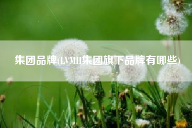 集团品牌(LVMH集团旗下品牌有哪些)