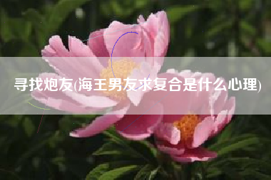 寻找炮友(海王男友求复合是什么心理)