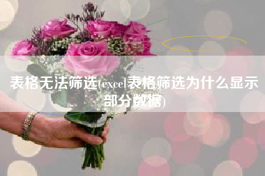 表格无法筛选(excel表格筛选为什么显示部分数据)