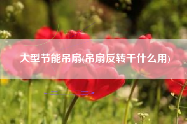 大型节能吊扇(吊扇反转干什么用)