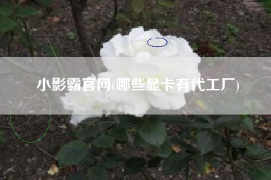小影霸官网(哪些显卡有代工厂)