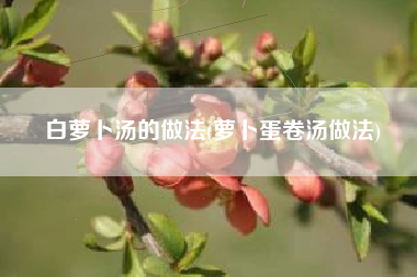 白萝卜汤的做法(萝卜蛋卷汤做法)