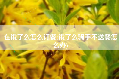 在饿了么怎么订餐(饿了么骑手不送餐怎么办)